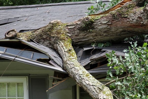Cost of Storm Remediation in Palm Bay