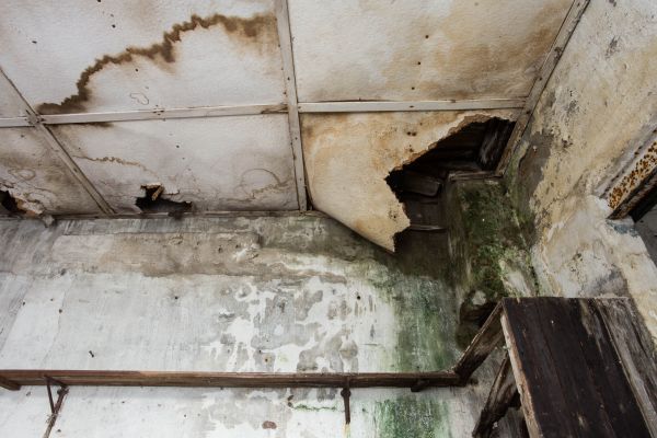 Water Damage Service in Palm Bay