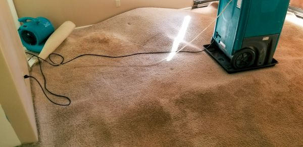 Flood Damage Cleanup in Palm Bay
