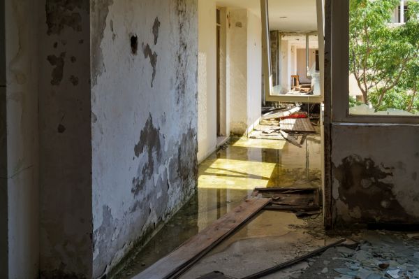 Water Removal Service in Palm Bay