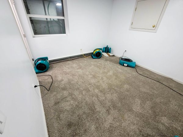 Flood Restoration Service in Palm Bay