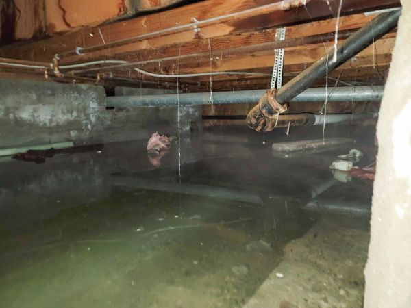 Cost of Water Mitigation Service in Palm Bay