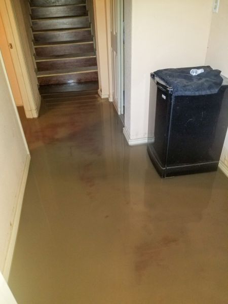 Emergency Water Removal in Palm Bay