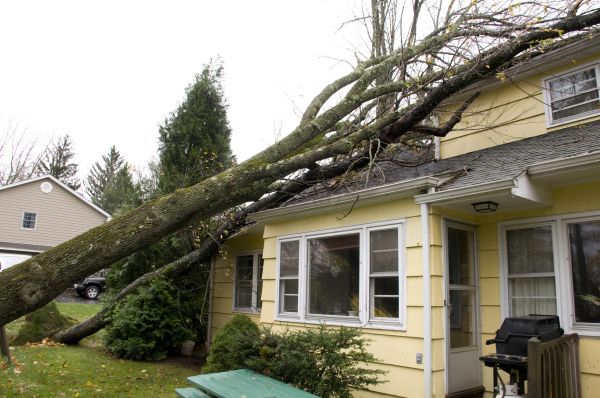 Hurricane Damage Repair in Palm Bay